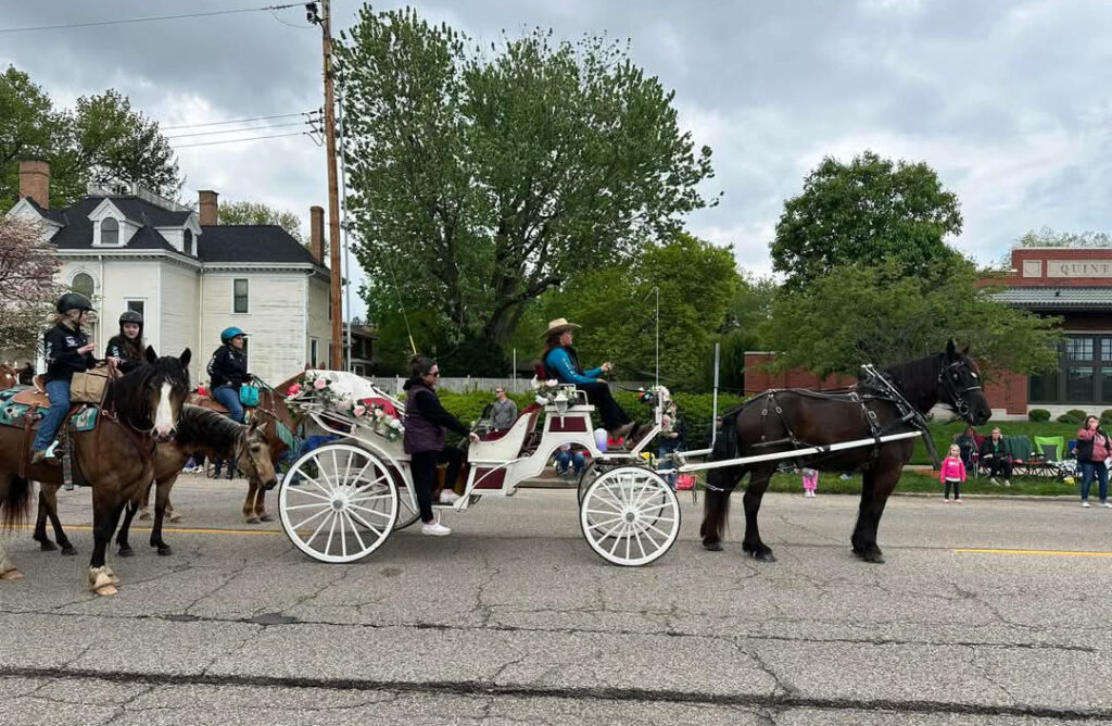 carriage-rentals