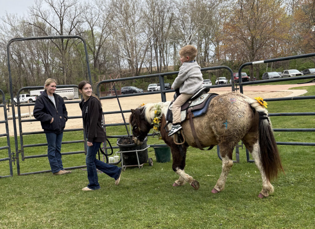 pony-rides