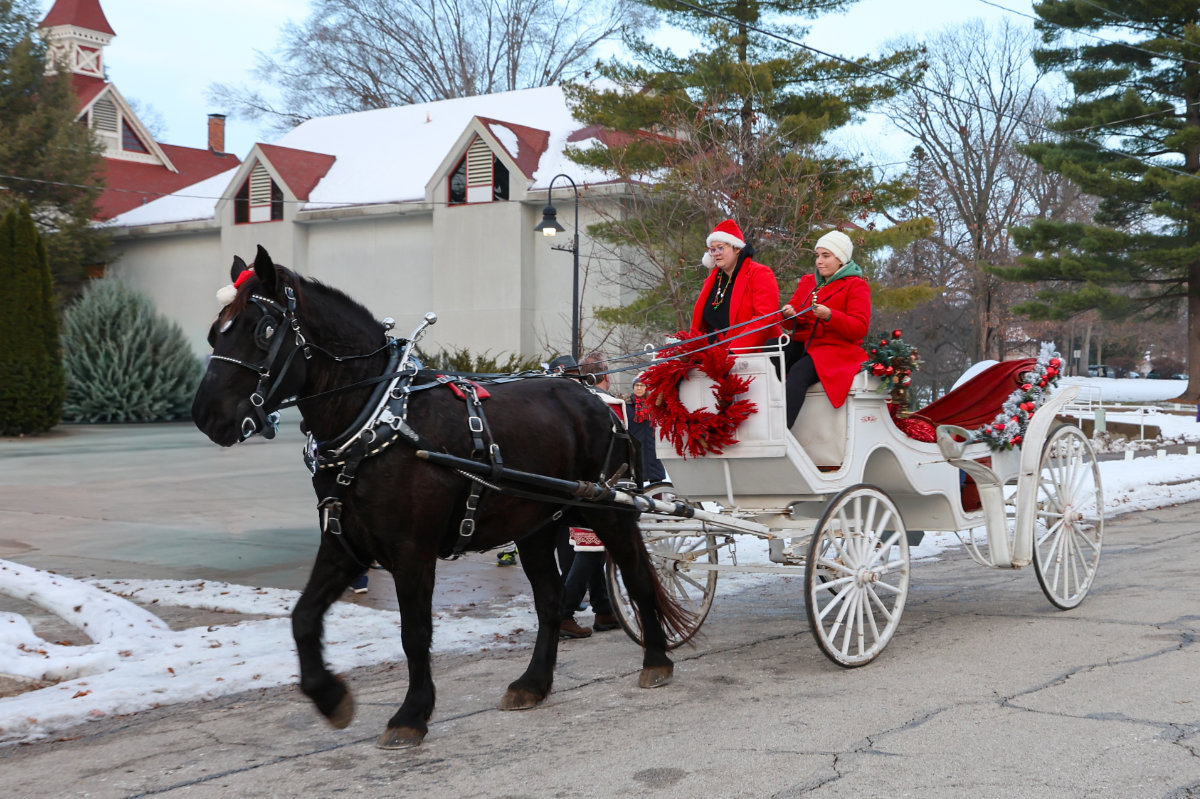 winter-carriage-ride-single-pony